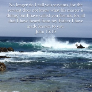 John 15 verse 15