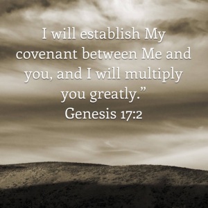 genesis-17-verse-2